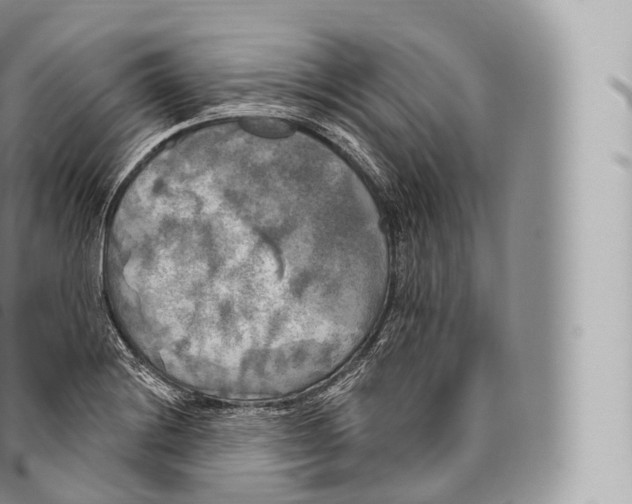 X0000096491228200802141738