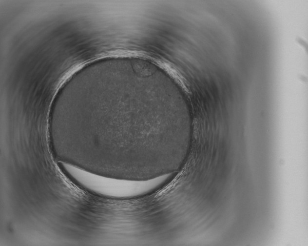 X0000096491229200802141738