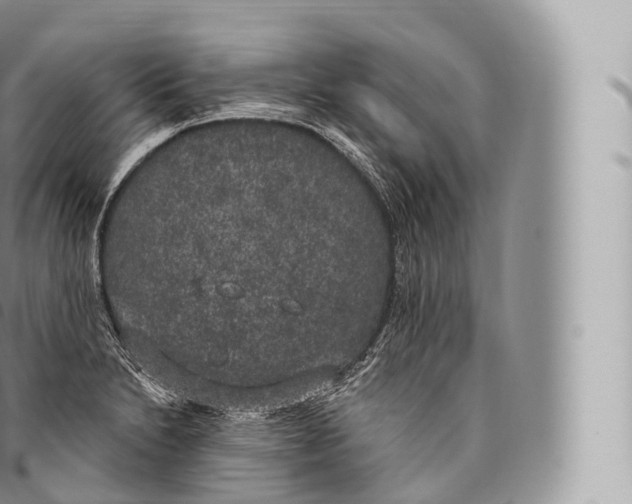 X0000096491230200802141738