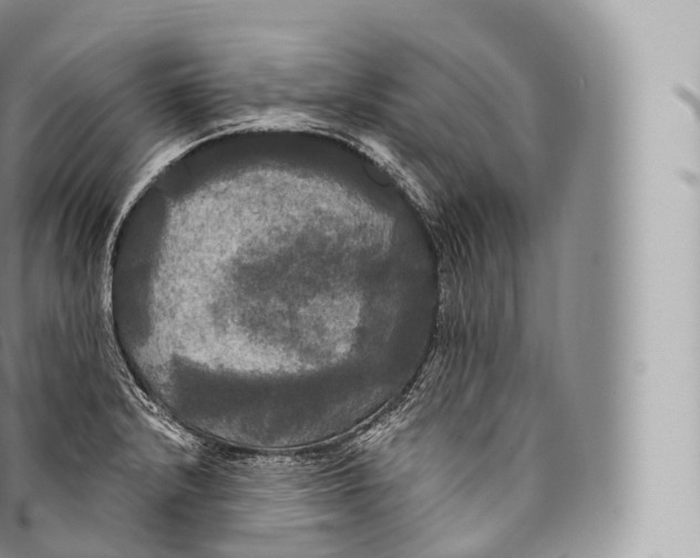 X0000096491232200802141738