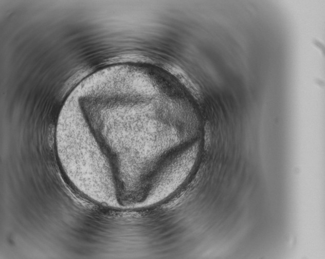 X0000096491233200802141738