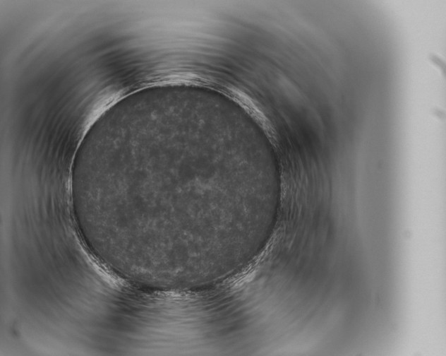 X0000096491234200802141738