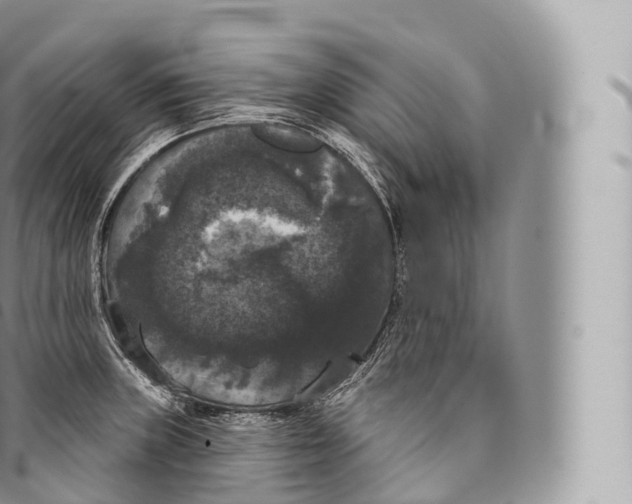 X0000096491235200802141738