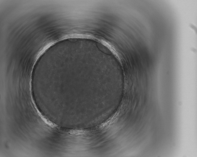 X0000096491237200802141738