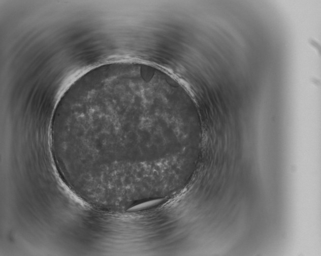 X0000096491239200802141738