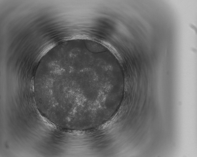 X0000096491241200802141738