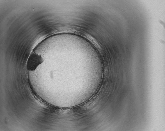 X0000096491242200802141738