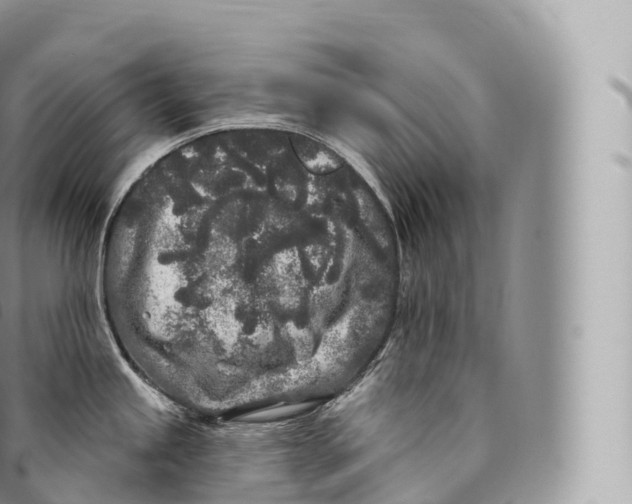 X0000096491245200802141738