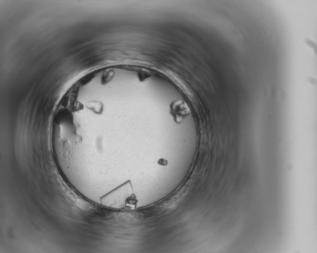 X0000096491246200802141738