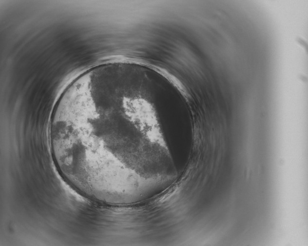 X0000096491247200802141738