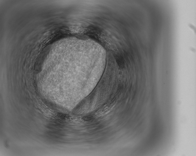 X0000096491249200802141737