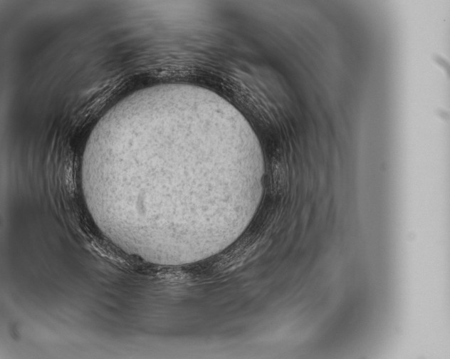 X0000096491250200802141737