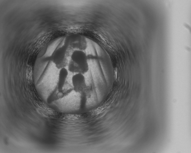 X0000096491251200802141737