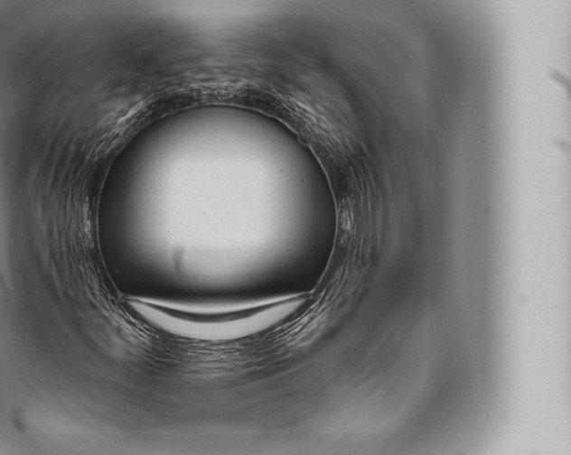 X0000096491252200802141737