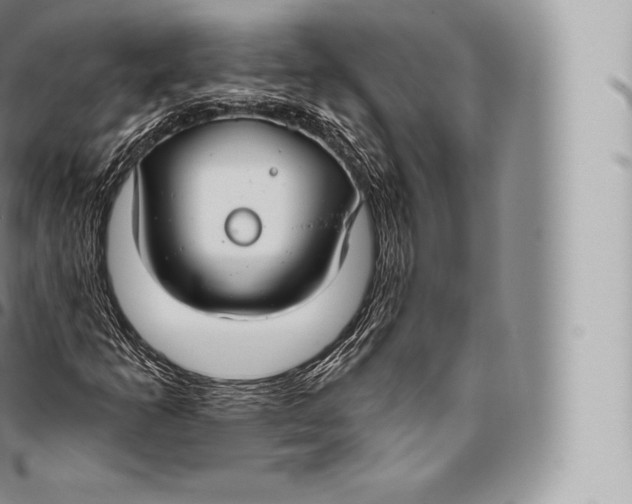 X0000096491253200802141737