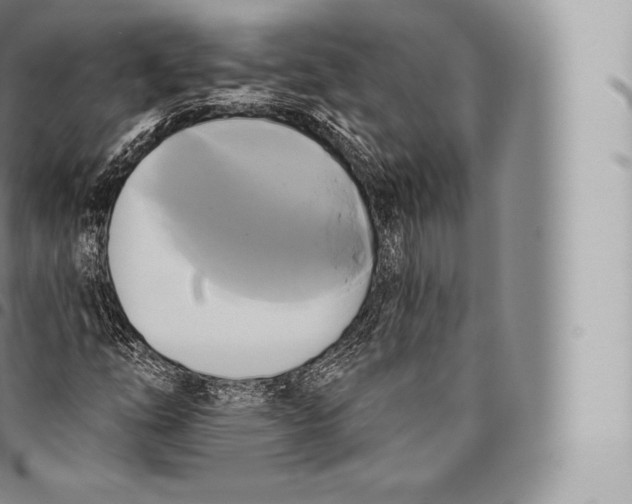 X0000096491254200802141737