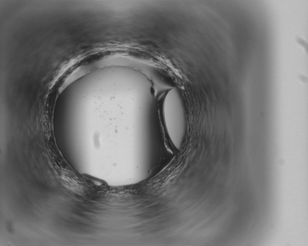 X0000096491256200802141737