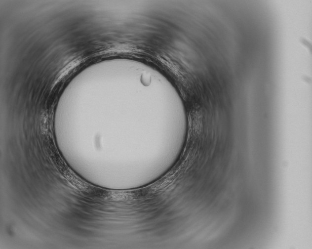 X0000096491258200802141737