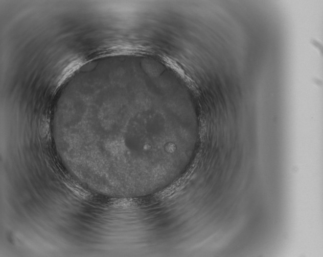 X0000096491259200802141737