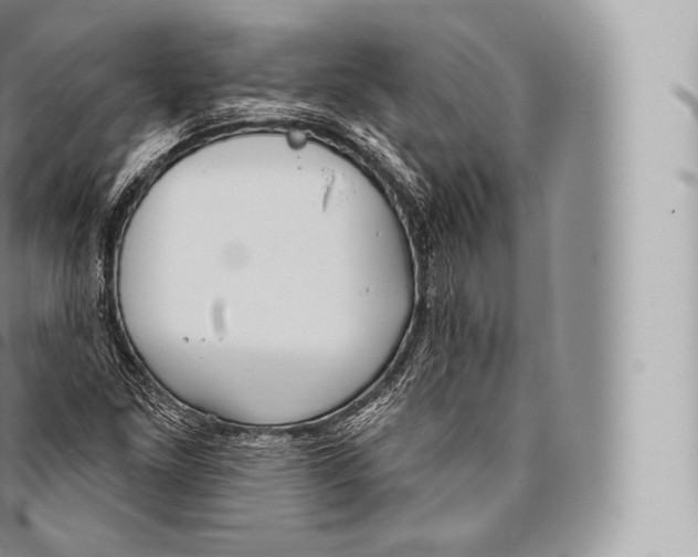 X0000096491261200802141737