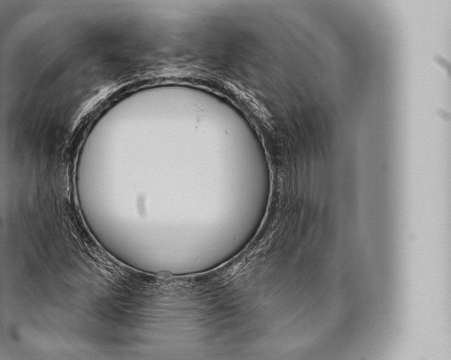 X0000096491262200802141737