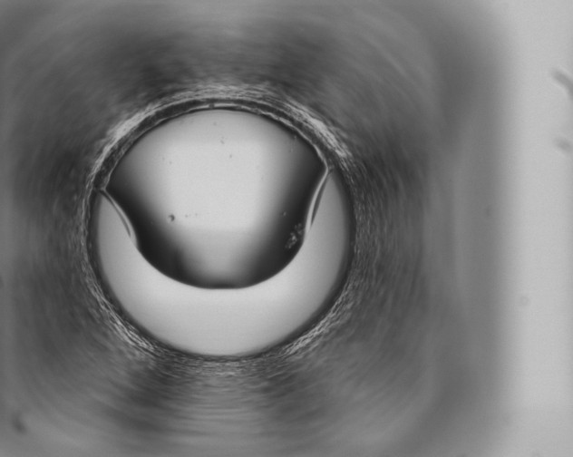 X0000096491264200802141737