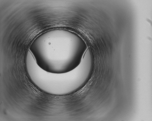 X0000096491265200802141737