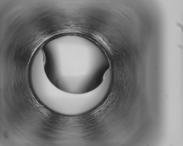 X0000096491268200802141737