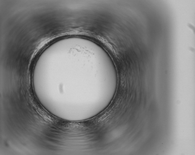 X0000096491270200802141737