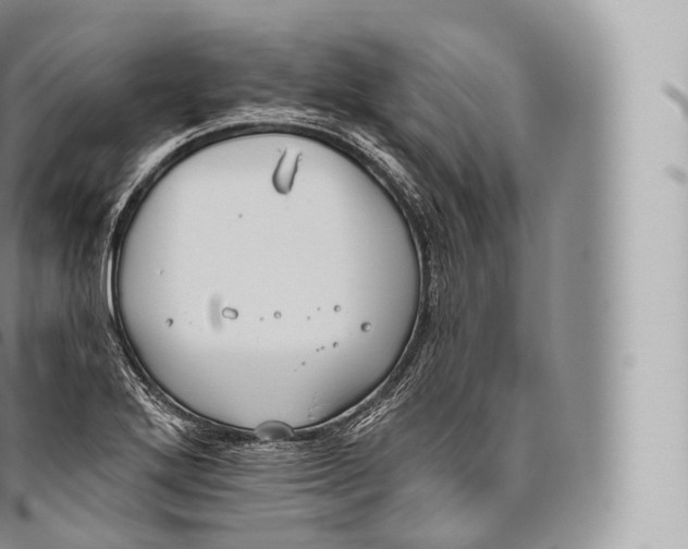 X0000096491272200802141737