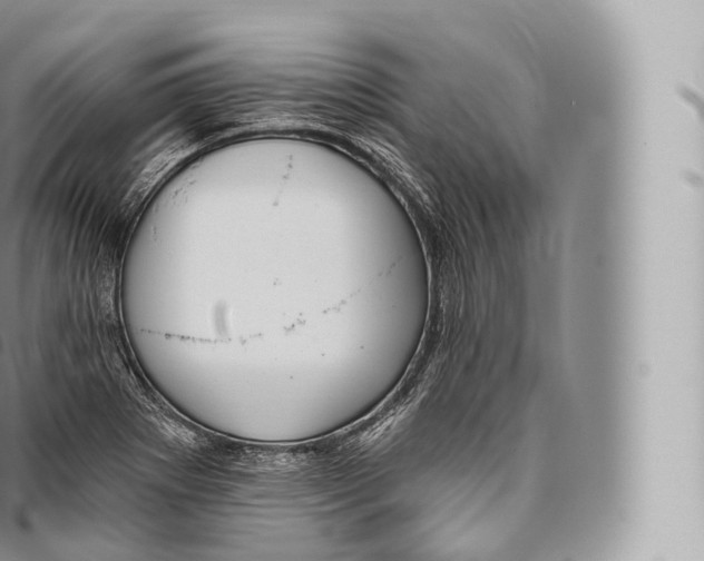 X0000096491273200802141737