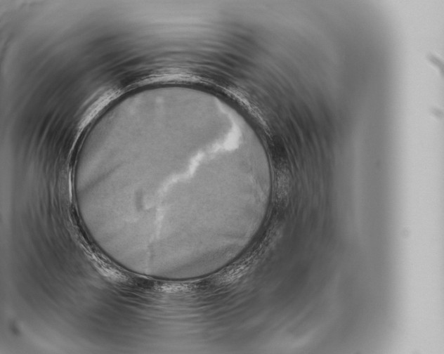 X0000096491274200802141737