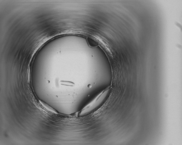 X0000096491276200802141737