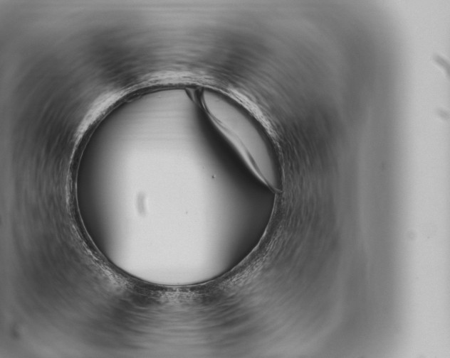 X0000096491277200802141737