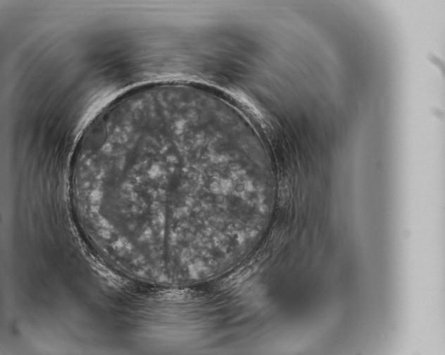 X0000096491279200802141737