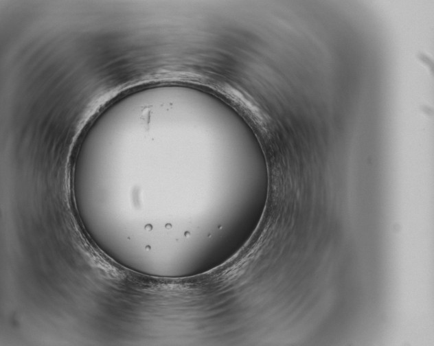 X0000096491280200802141737