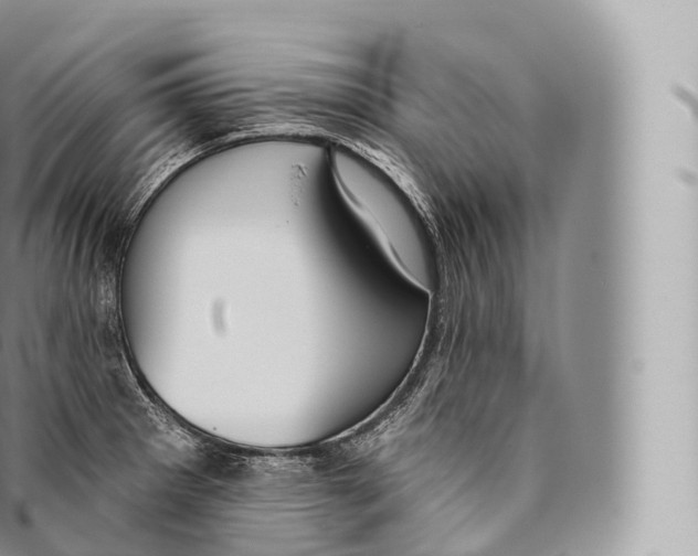 X0000096491281200802141737