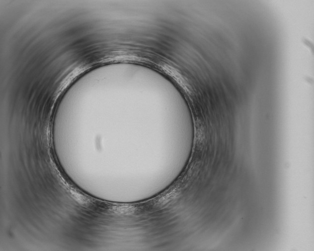 X0000096491282200802141737