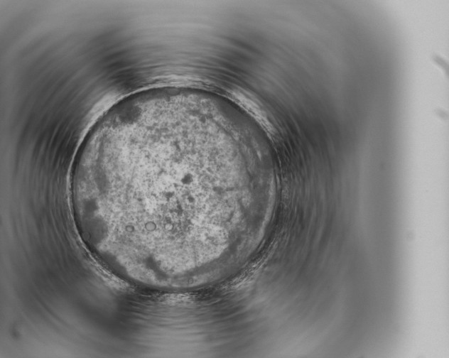 X0000096491283200802141737