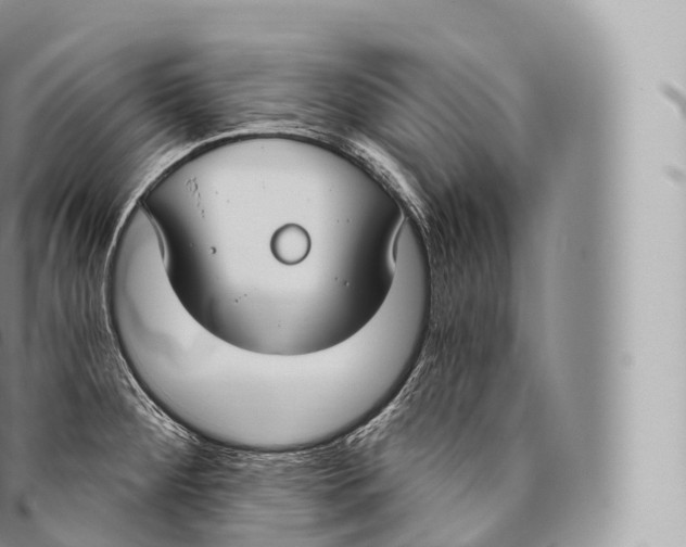 X0000096491284200802141737