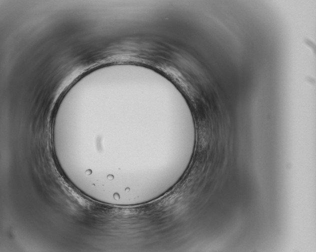 X0000096491286200802141737