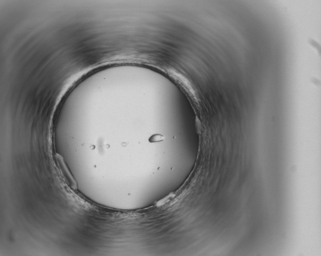 X0000096491288200802141737