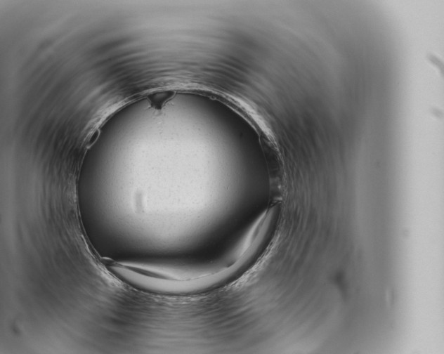 X0000096491289200802141737