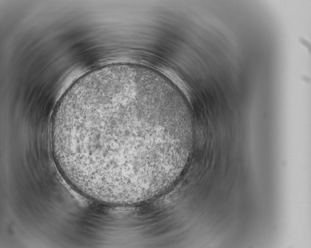 X0000096491290200802141737