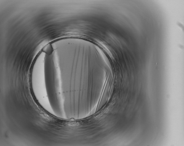 X0000096491291200802141737