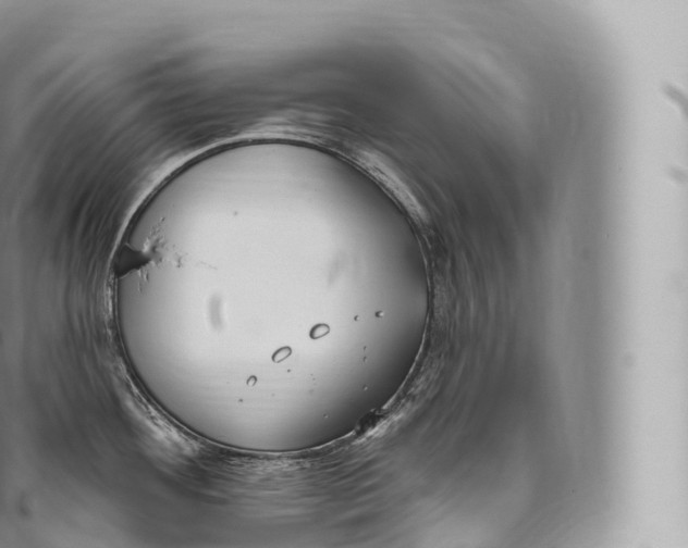 X0000096491292200802141737