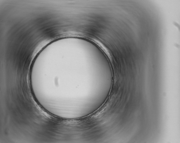 X0000096491293200802141737