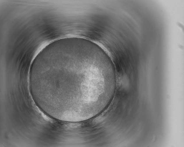 X0000096491294200802141737