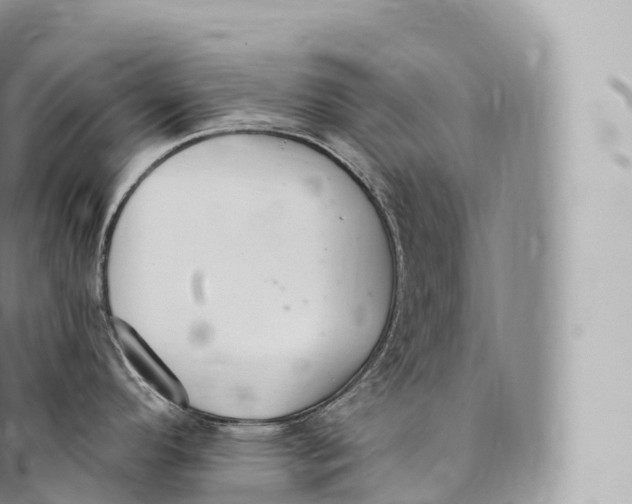 X0000096491296200802141737