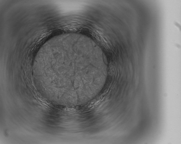 X0000096491297200802141736